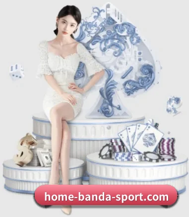 半岛综合 APP 界面